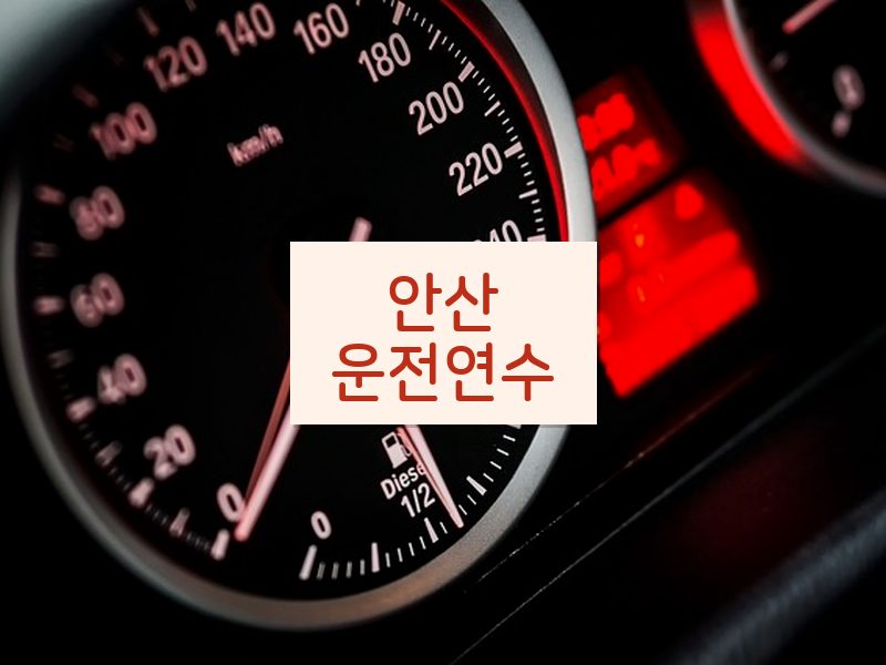 안산운전연수 후기