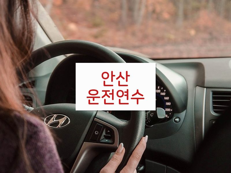 안산운전연수 후기