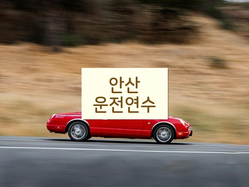 안산운전연수 후기