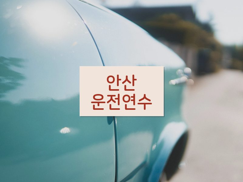 안산운전연수 후기
