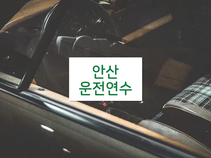안산운전연수 후기