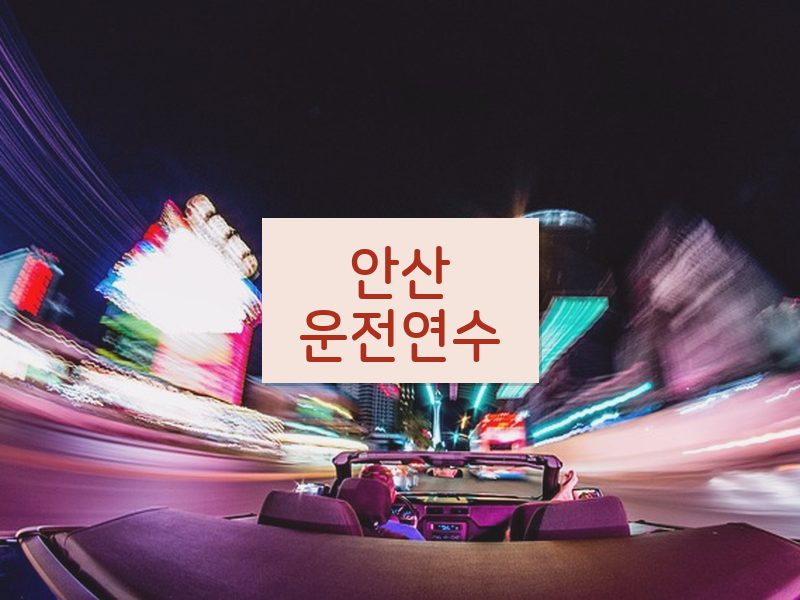 안산운전연수 후기