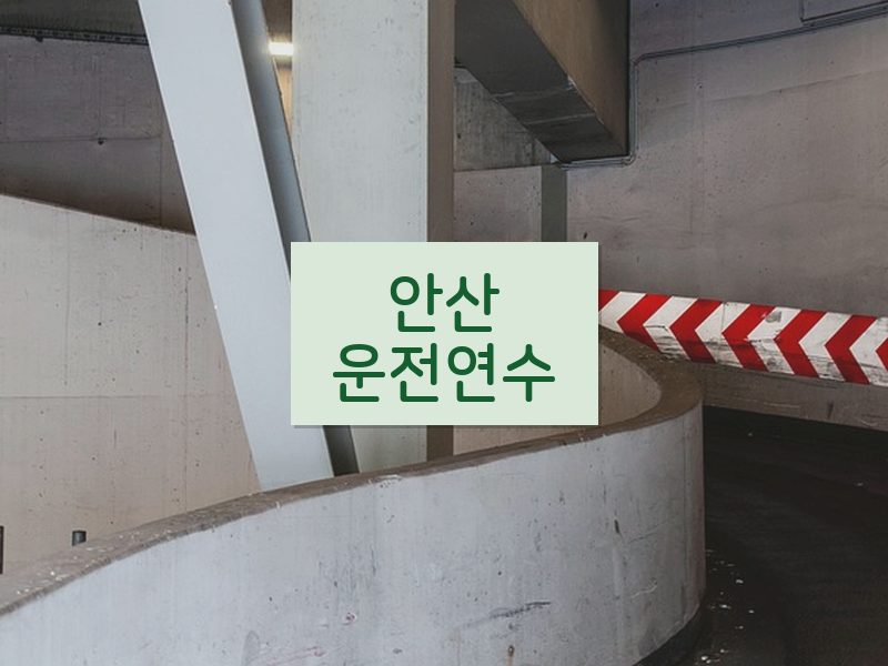 안산운전연수 후기