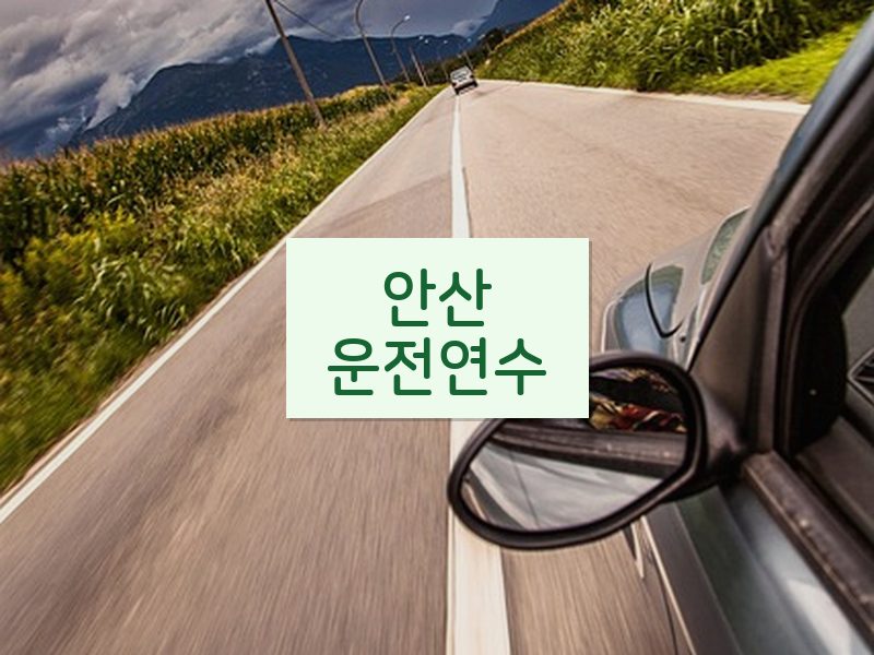 안산운전연수 후기