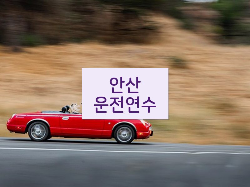 안산운전연수 후기