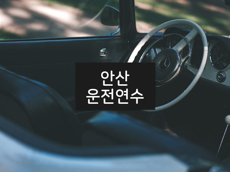 안산운전연수 후기