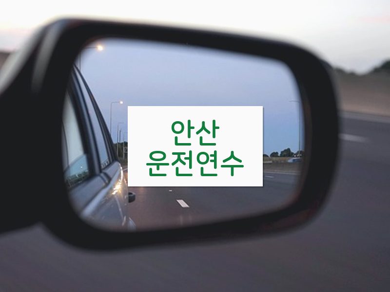 안산운전연수 후기