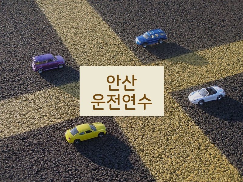 안산운전연수 후기