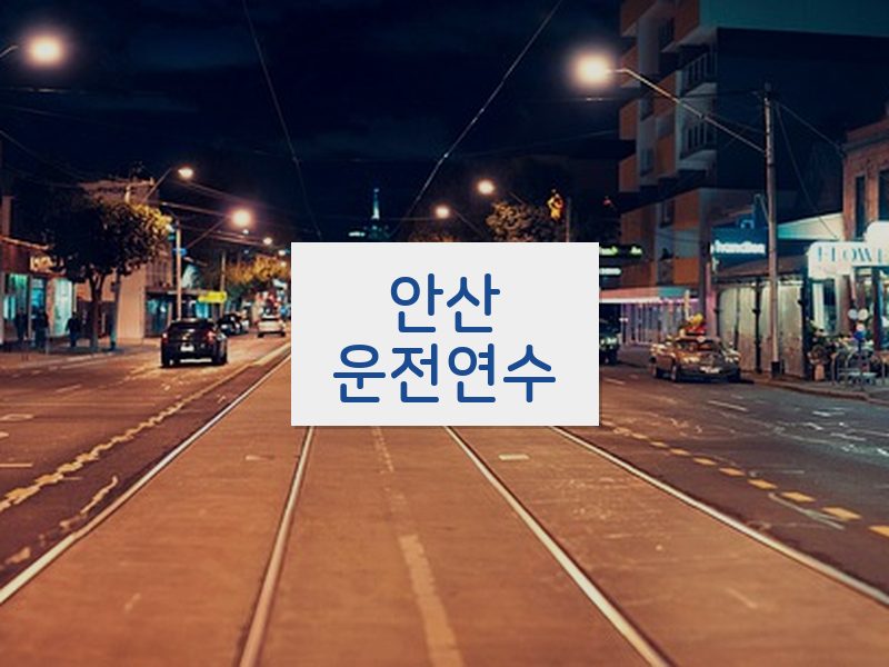 안산운전연수 후기