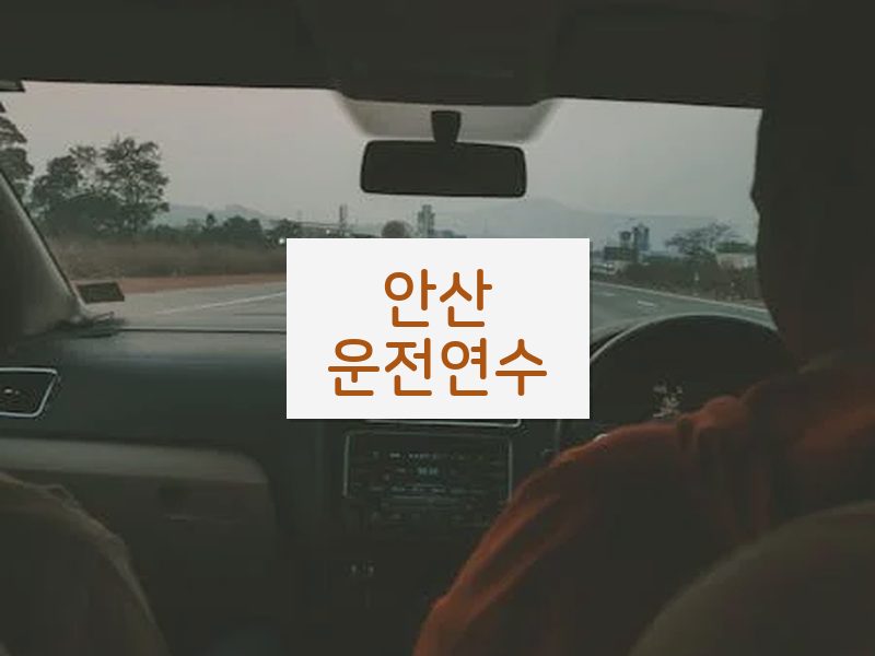 안산운전연수 후기