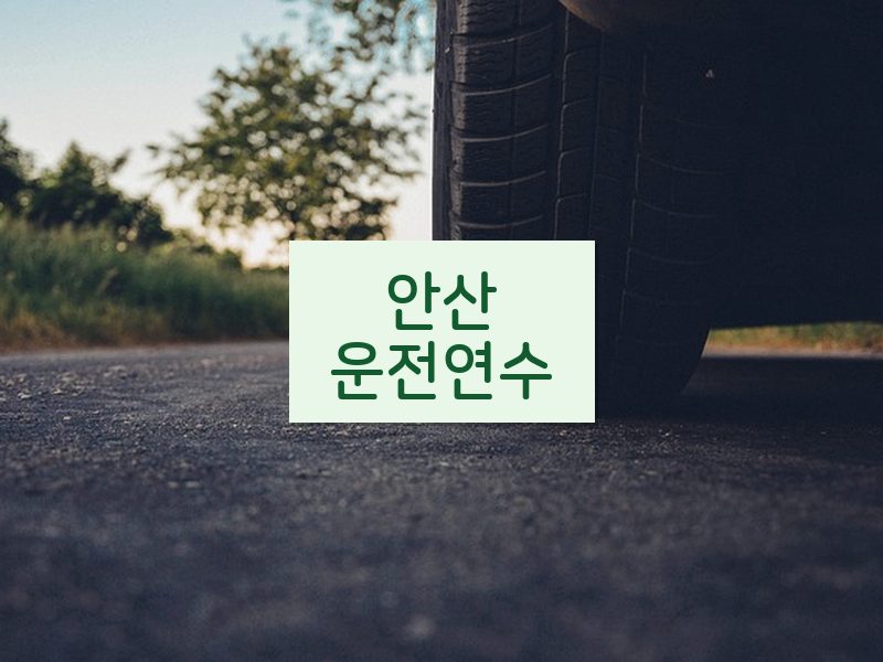 안산운전연수 후기