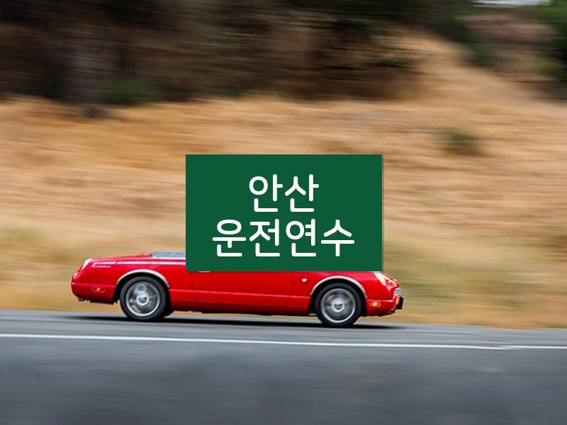 안산운전연수 후기