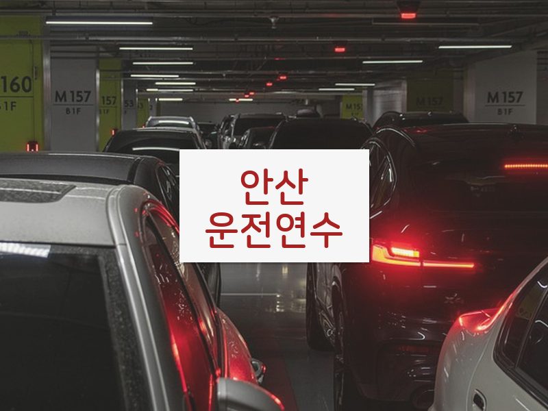안산운전연수 후기