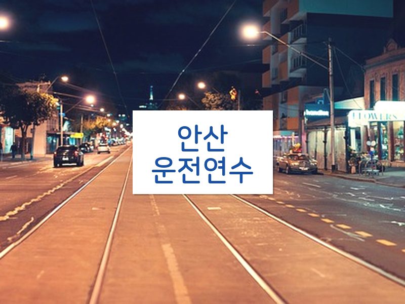 안산운전연수 후기