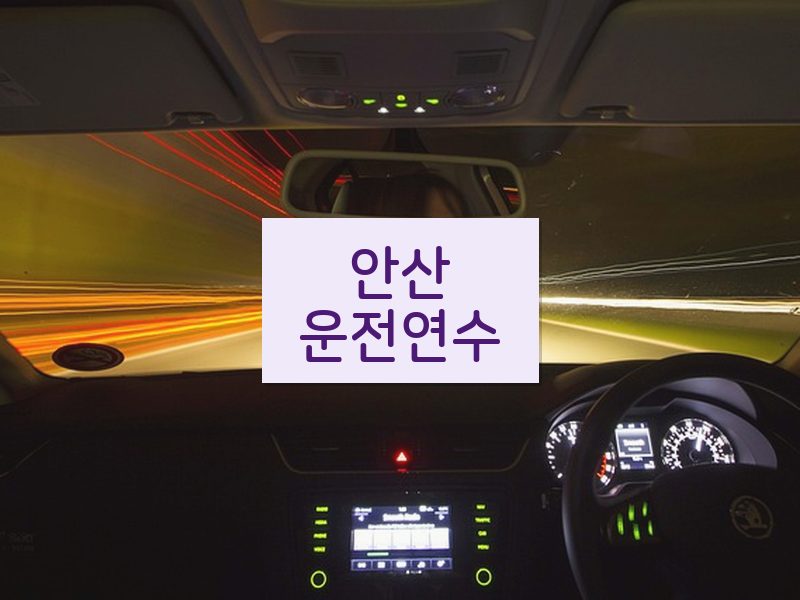안산운전연수 후기