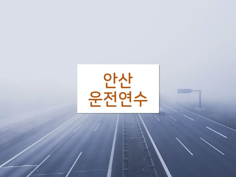 안산운전연수 후기