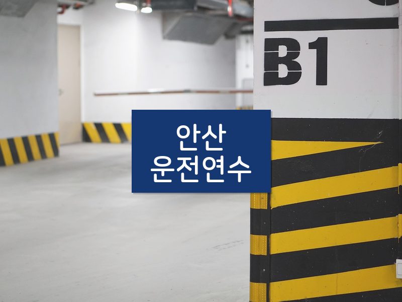 안산운전연수 후기