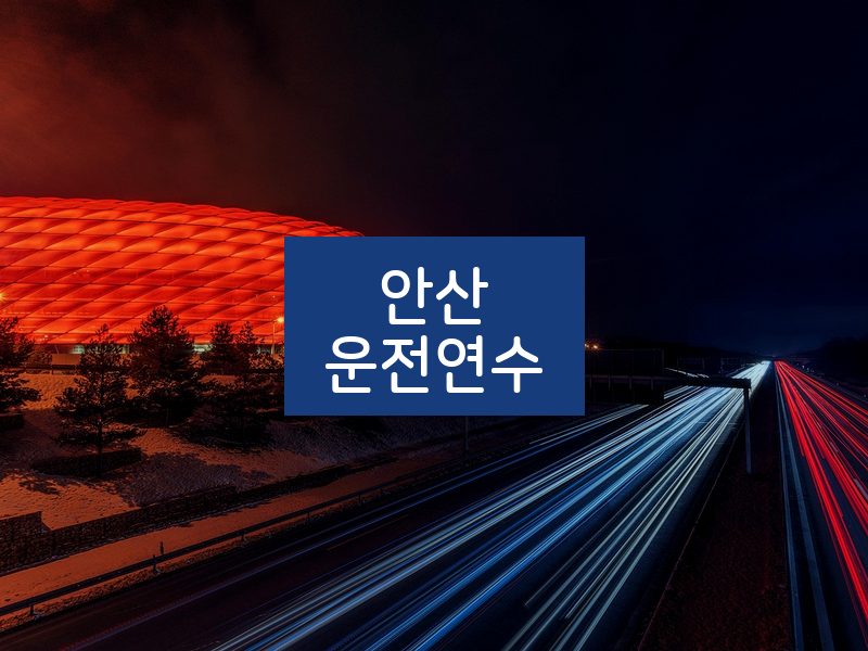 안산운전연수 후기