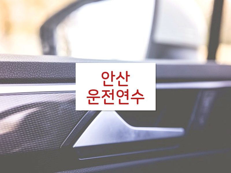 안산운전연수 후기