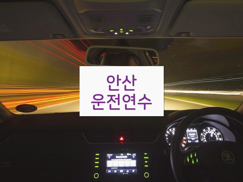 안산운전연수 후기