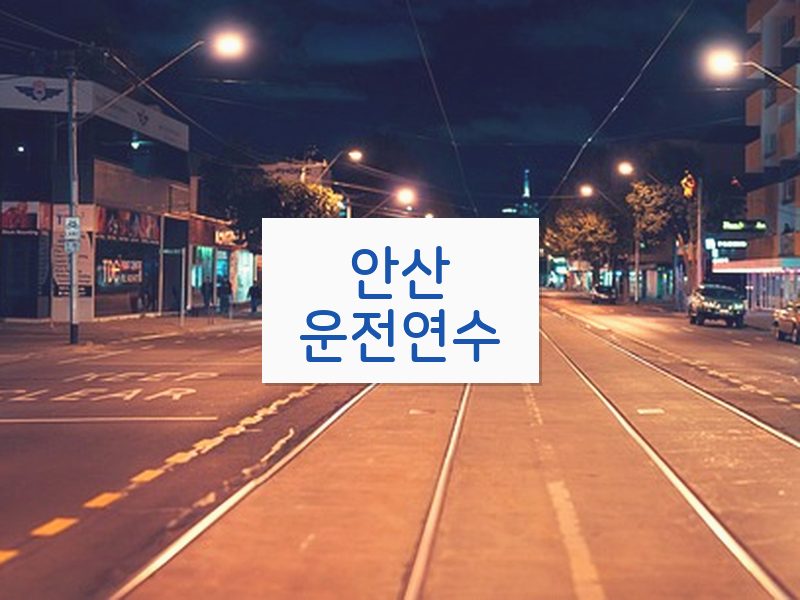 안산운전연수 후기