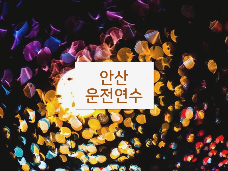 안산운전연수 후기