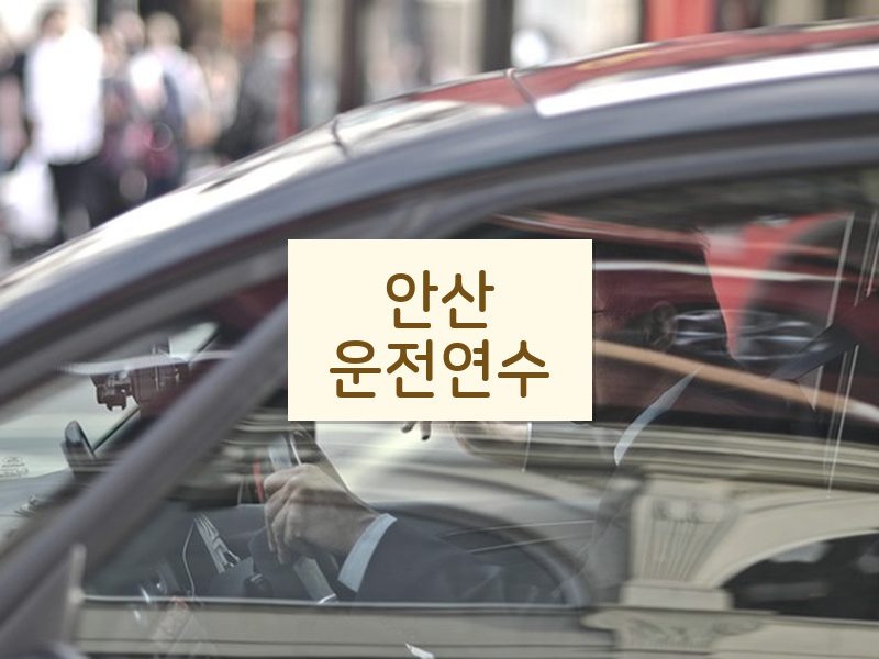 안산운전연수 후기