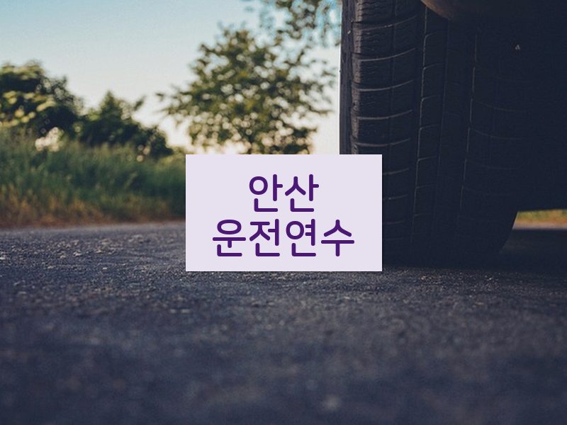 안산운전연수 후기
