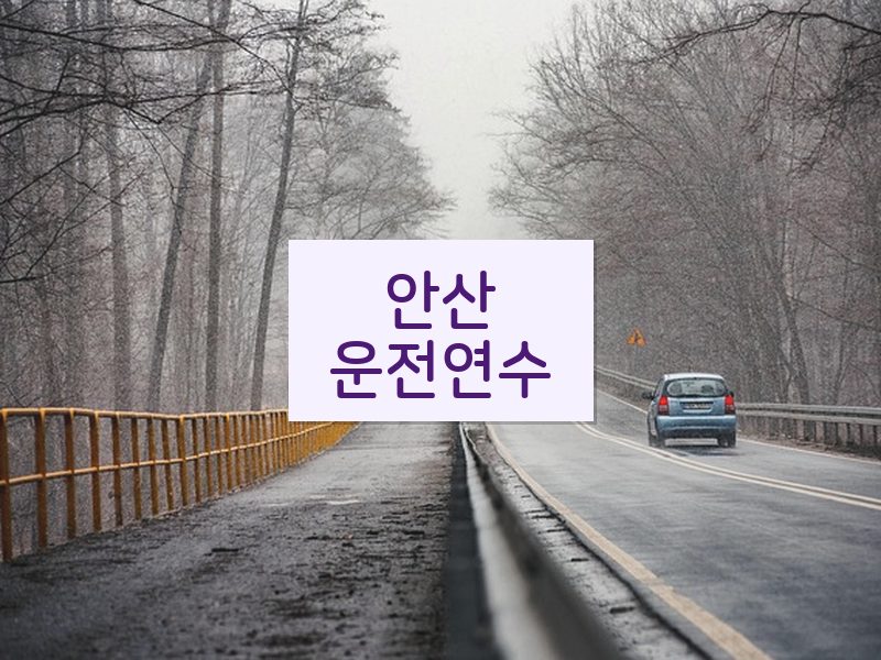 안산운전연수 후기
