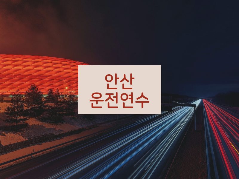 안산운전연수 후기