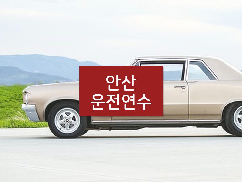 안산운전연수 후기