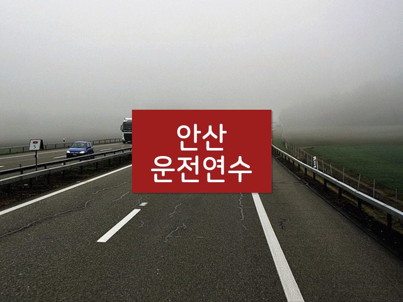 안산운전연수 후기