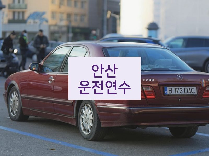 안산운전연수 후기