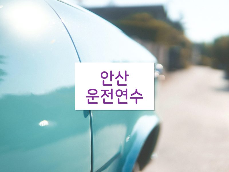 안산운전연수 후기