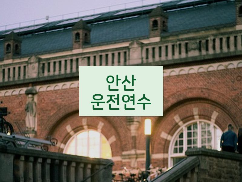 안산운전연수 후기