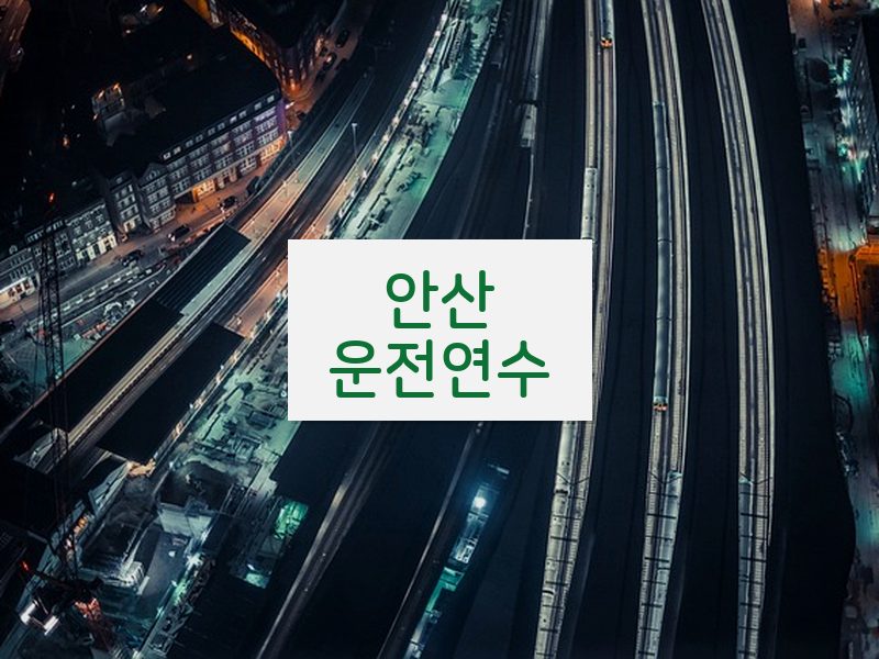 안산운전연수 후기
