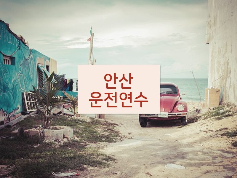 안산운전연수 후기