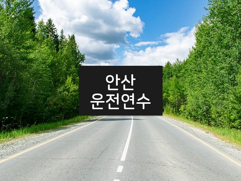안산운전연수 후기