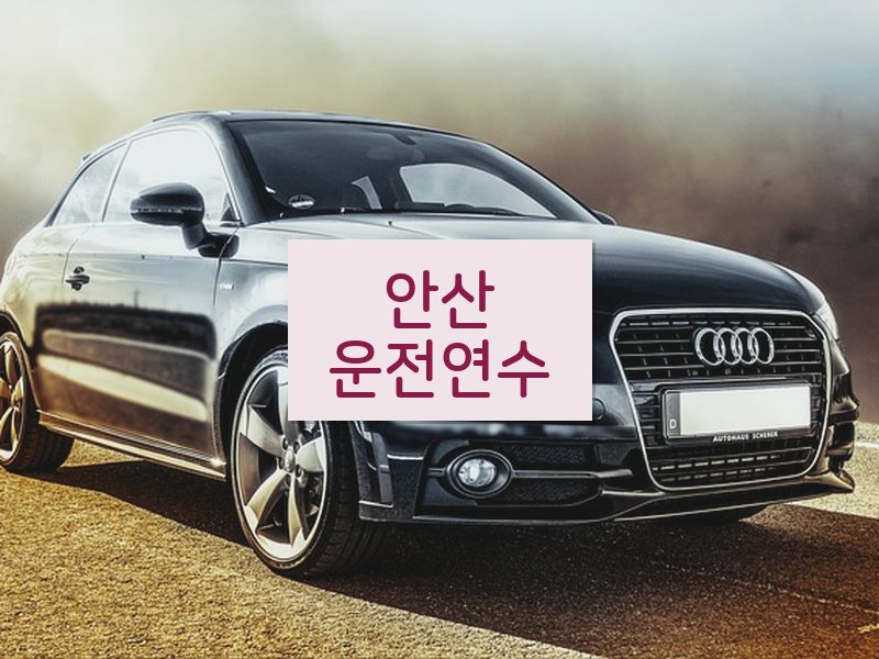 안산운전연수 후기