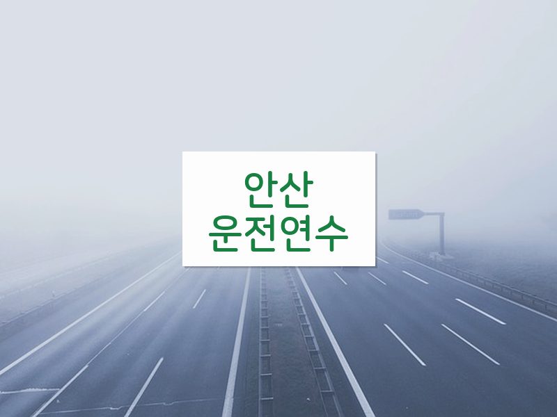 안산운전연수 후기