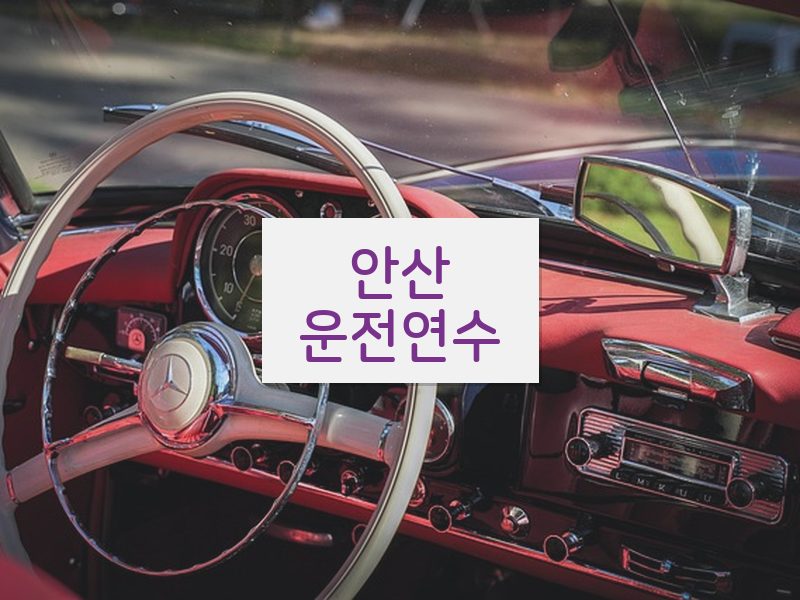 안산운전연수 후기