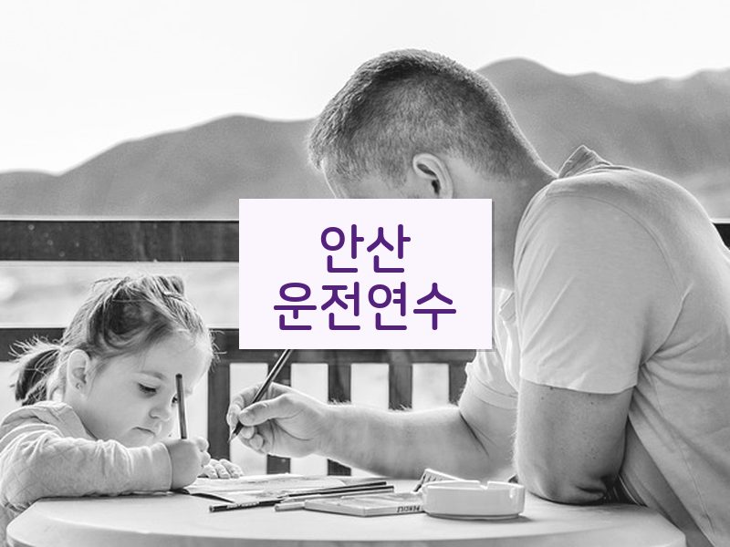 안산운전연수 후기