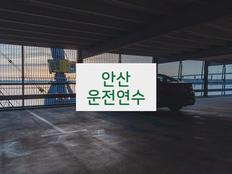 안산운전연수 후기