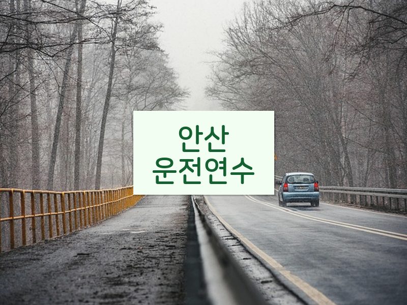 안산운전연수 후기