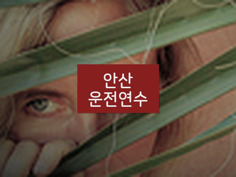 안산운전연수 후기