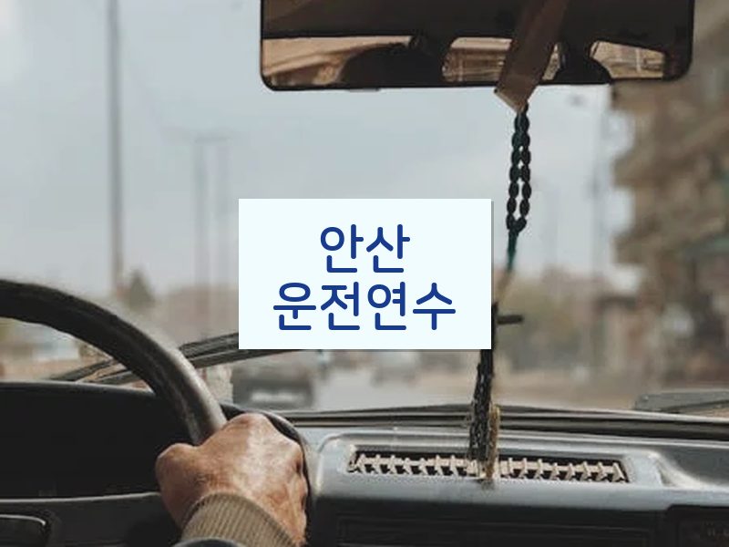 안산운전연수 후기