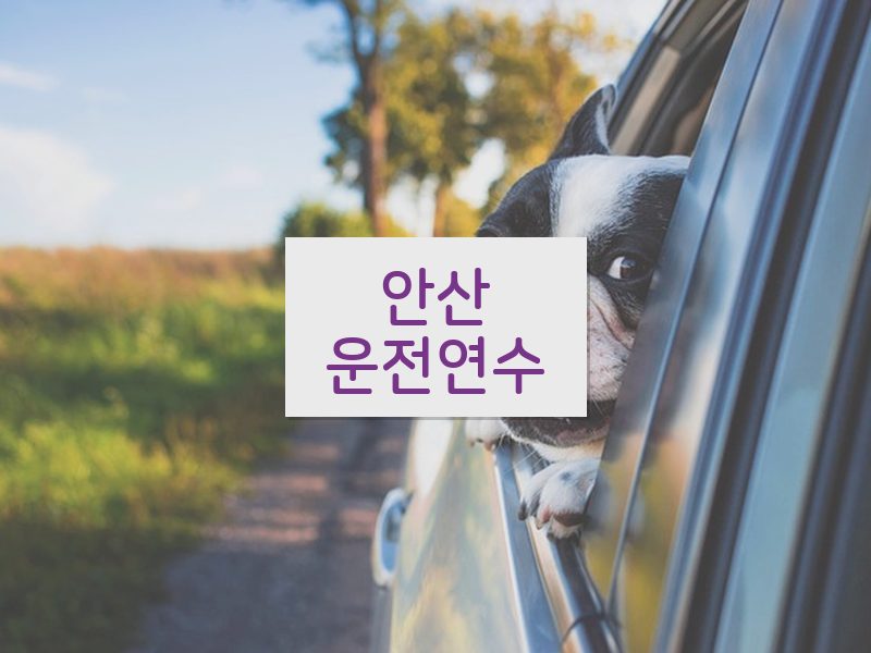 안산운전연수 후기