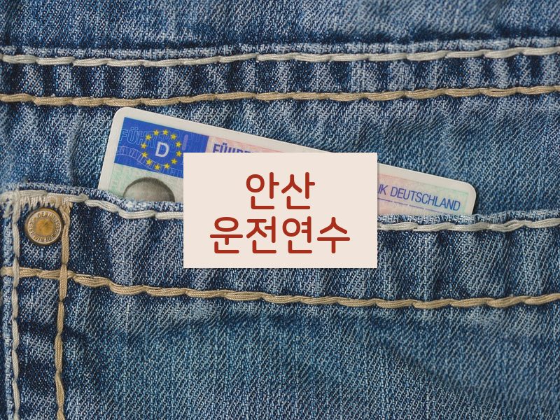 안산운전연수 후기