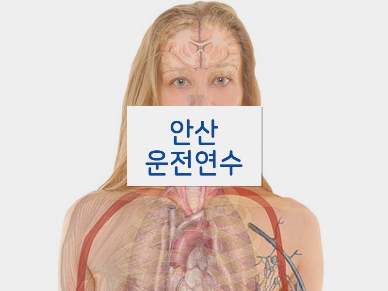 안산운전연수 후기