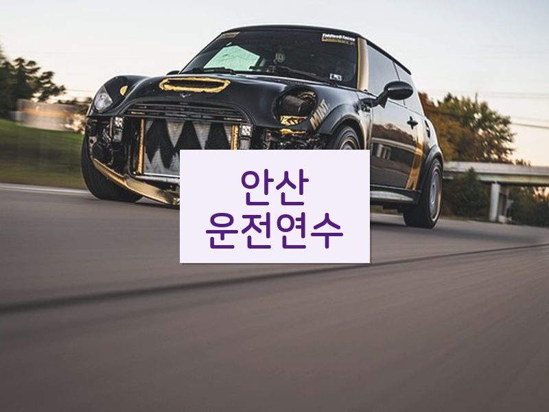 안산운전연수 후기